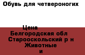 Обувь для четвероногих  › Цена ­ 1 300 - Белгородская обл., Старооскольский р-н Животные и растения » Аксесcуары и товары для животных   